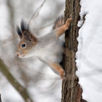 _____. :: Алексей .