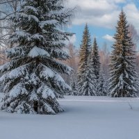 Зимние зарисовки ... :: Ravile 