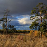 Перед грозой :: Владимир Гришин