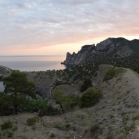 Природа Крыма :: Amazing Cosmea