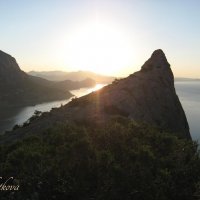 Природа Крыма :: Amazing Cosmea