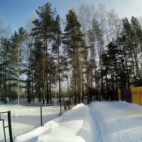 Просто зимний день. :: Михаил Елочкин