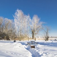 Зона отдыха у озера. :: Николай 