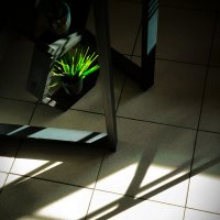 * :: Сергей Полянский