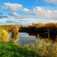 Осень. :: Владимир 