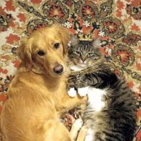 Друзья-приятели :: Елена 