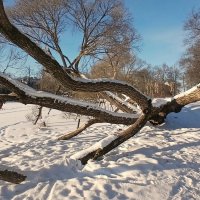 Петергоф. Ольгин пруд :: Наталья Герасимова