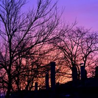 утро :: Игорь Kуленко