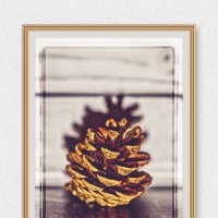 (°-°) :: Jakob Dick (°-°) :: Jakob Dick