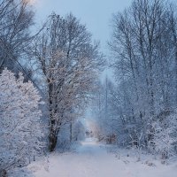 Утро после снегопада :: Мария К.