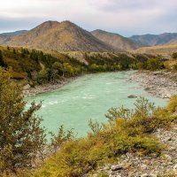 Природа  Горного Алтая :: елена беликова