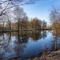 Январское... :: Николай Гирш