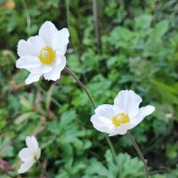 ,,, :: Сергей Тимоновский