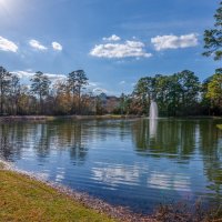 Пруд :: **** vedin