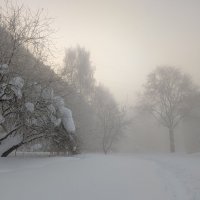 Утро в туманном сне :: Анастасия Логинова Утро в туманном сне :: Анастасия Логинова