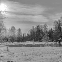 Солнце февраля. :: Николай 