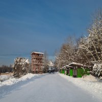 В городском парке зима :: Александр Синдерёв