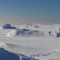 По дороге к Толбухину :: skijumper Иванов