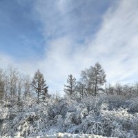 Придорожный пейзаж :: Ирэн 