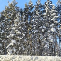 Придорожный пейзаж :: Ирэн 