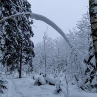 Снежный мост :: Andreas Tor