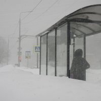 метель сегодня :: Владимир Носов