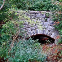 Старинный мост :: Мишель71 