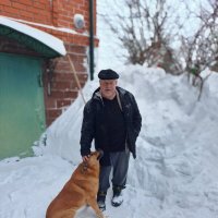 Снежная зима нынче... :: Михаил Столяров