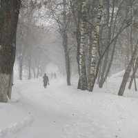 *** :: Владимир Носов