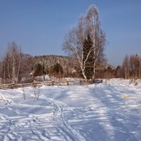 ЖУРАВДЕВО :: Tata Wolf