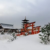 В японском стиле :: Серый 