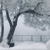 Закуржавело.. :: Татьяна 