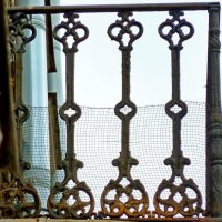 ПИТЕР, решётки. :: Виктор Осипчук