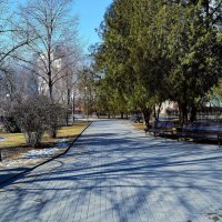 Ростов-на-Дону. Сквер набережной Адмирала Ушакова в феврале. :: Пётр Чернега