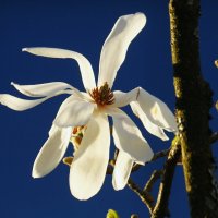 Доброе утро :: Юрий. Шмаков