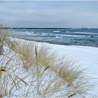 Зима, Балтика :: Валерия Комова