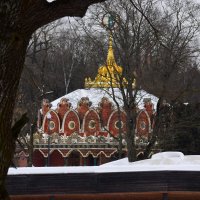 *** :: Наталья Вязигина