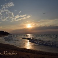 Природа Крыма :: Amazing Cosmea Природа Крыма :: Amazing Cosmea