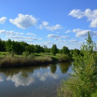 Донские виды. :: Виктор 