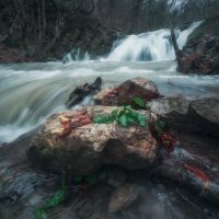 Вода, вода, кругом одна вода :: Дмитрий Шишкин