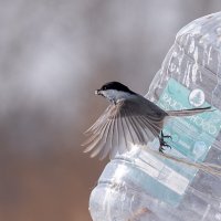 2 :: Сергей Флетчер