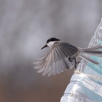 6 :: Сергей Флетчер