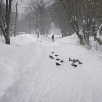 *** :: Владимир Носов