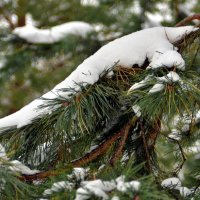 . :: Дмитрий Шароватов