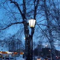 зима :: Венера Чуйкова