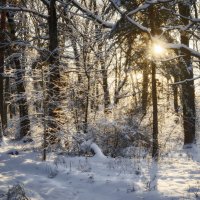 Мороз и солнце; день чудесный! :: Валерий VRN Мороз и солнце; день чудесный! :: Валерий VRN