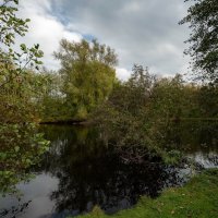 *** :: Николай Гирш