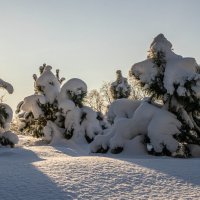 «Тишина, покрытая снегом». :: Екатерина Счасная