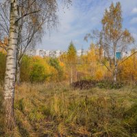 Палитра октября... :: Владимир Жданов Палитра октября... :: Владимир Жданов