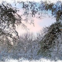 Кружева зимы :: VasiLina *